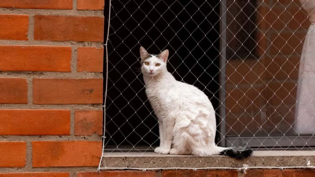 tela de proteção para gatos