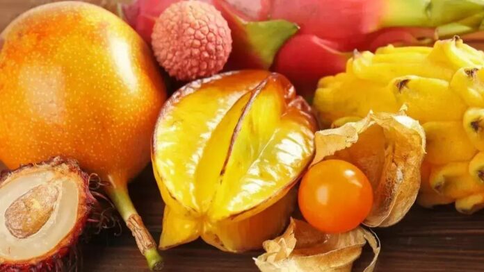 Descubra as frutas exóticas que todo amante da gastronomia deve experimentar