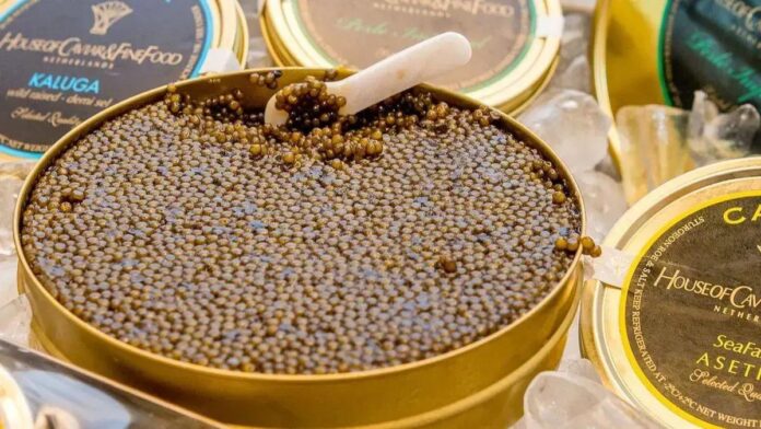 Melhores Marcas de Caviar: Qualidade e Exuberância no Paladar