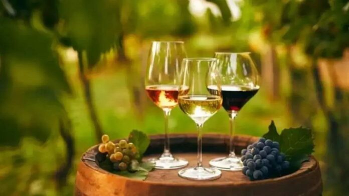 Os vinhos biodinâmicos mais impressionantes para degustar em sua próxima viagem